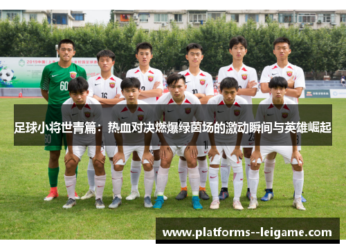 足球小将世青篇：热血对决燃爆绿茵场的激动瞬间与英雄崛起