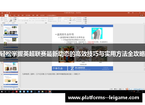 轻松掌握英超联赛最新动态的高效技巧与实用方法全攻略