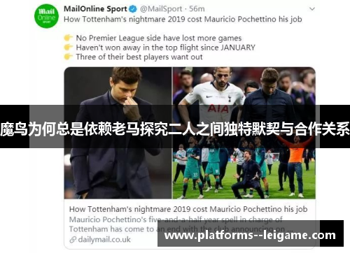 魔鸟为何总是依赖老马探究二人之间独特默契与合作关系 魔鸟为何总是依赖老马探究二人之间独特默契与合作关系